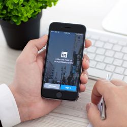 TRANSWAGGON now also on LinkedIn & Co.