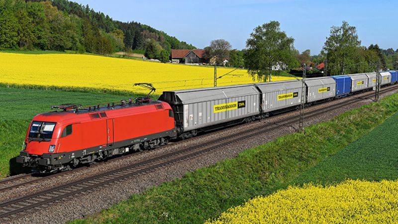 Wagon fleet